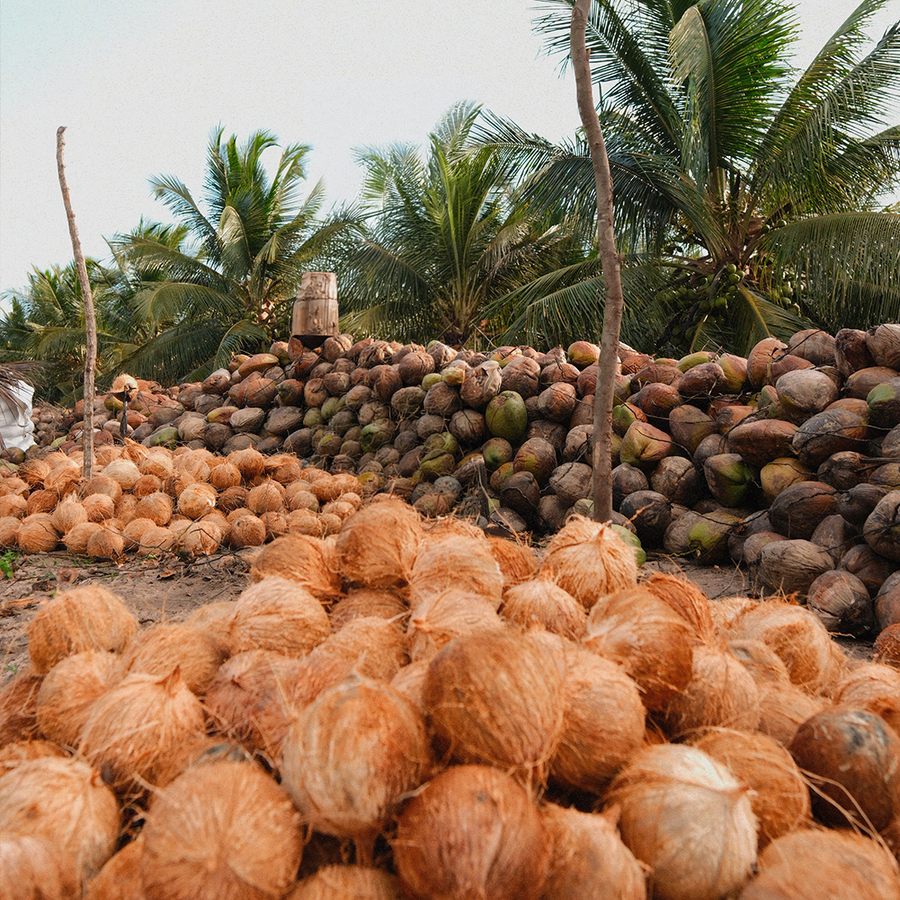 Direto da fazenda